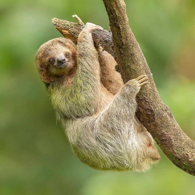 吴杰 - 官网开发